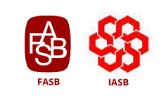 US FASB votes to re-expose lease accounting with IASB