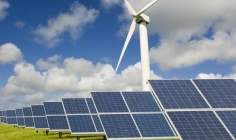 Government support fuels renewables